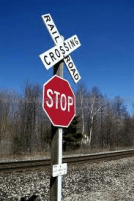 aaa lion king 1 - rail road cross sign