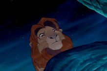 aaa lion king 5 - reflection