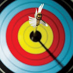 bullseye-w-arrow_420x420